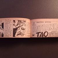 Fumetti a strisce Pantera Bionda