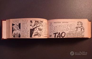 Fumetti a strisce Pantera Bionda