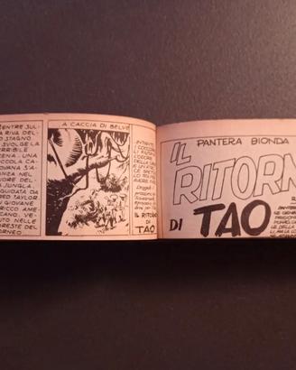 Fumetti a strisce Pantera Bionda