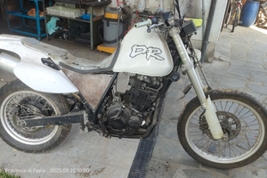 Moto Suzuki DR600