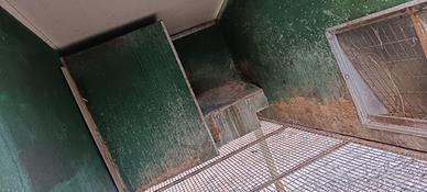 Gabbia doppio scomparto per lepri o conigli