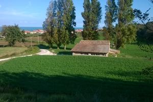 Terreno agricolo