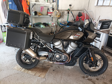 Harley davidson pan America standard