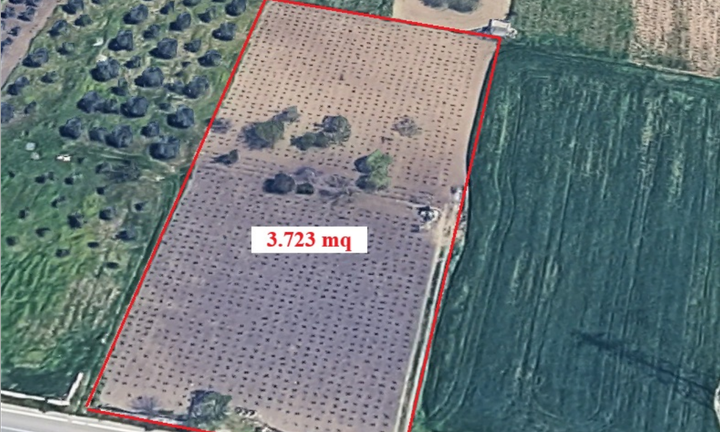 Vendita vigneto e frutteto