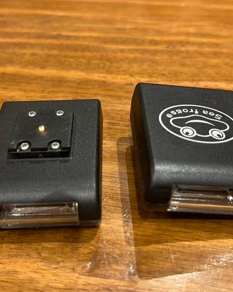 TRIGGER SEA FROGS X FUJIFILM
