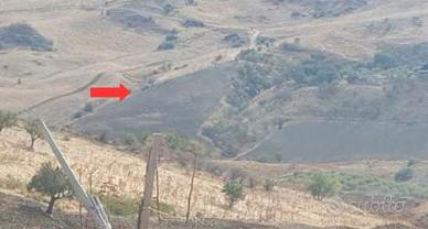 RGE 16/2017 Trib ENNA - LOTTO 2