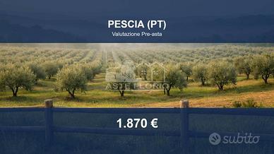 Immobile in asta di 10477 m² a Pescia