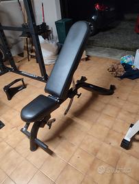 panca professionale palestra 