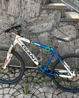 Mountain bike Giant