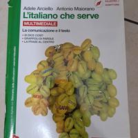 Libro scolastico di italiano della zanichelli