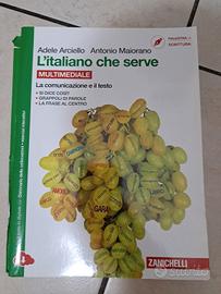 Libro scolastico di italiano della zanichelli