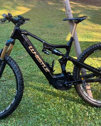 E bike