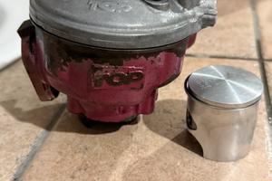 Top 2 Plus + Albero TPR