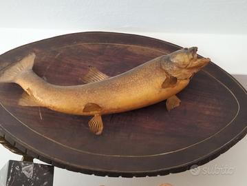 marmota quadro. Valsamata 