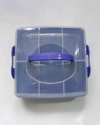Box contenitore con divisori interni e coperchio t