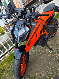 KTM Duke 390 anno 2024