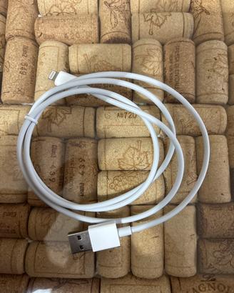 Cavo carica batterie iphone