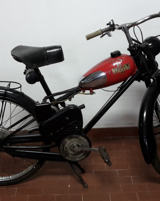 Bianchi Aquilotto