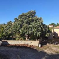 Rif.3650RV90078| villino caltanissetta