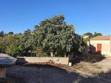 Rif.3650RV90078| villino caltanissetta