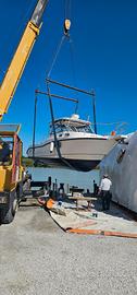Boston Whaler 305