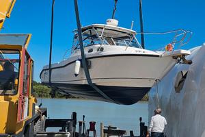Boston Whaler 305