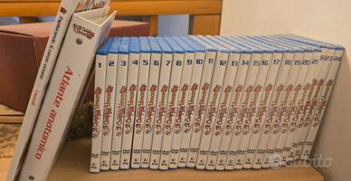 Esplorando il corpo umano