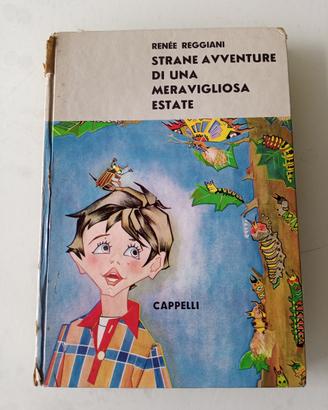 Strane avventure di una meravigliosa estate 1963