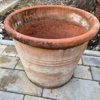 conca per ulivo in cotto