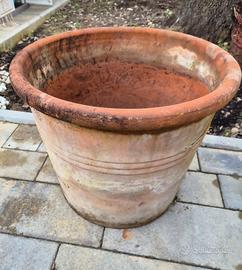 conca per ulivo in cotto