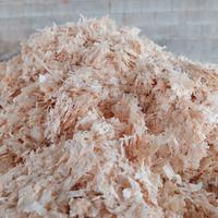 truciolo cavalli classe 1