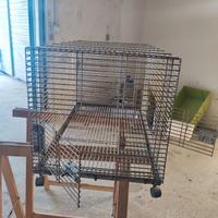 Gabbia per pappagalli