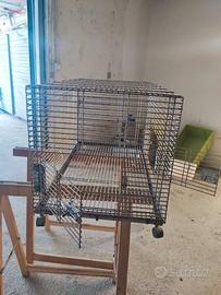 Gabbia per pappagalli