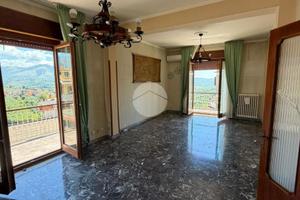 4 LOCALI A PALIANO