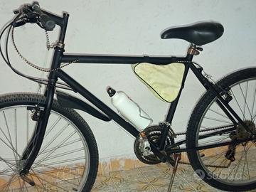 bicicletta 