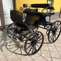 Carrozza Breack (37)