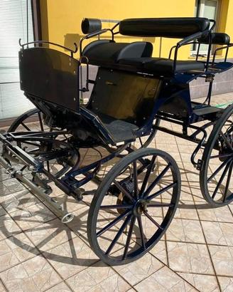Carrozza Breack (37)
