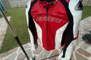 Giubbino Dainese