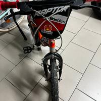 Bici bambino 4-6 anni
