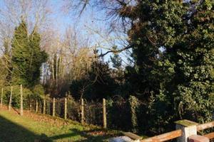 Immobile in asta di 3500 m² a Sermide e Felonica