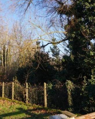 Immobile in asta di 3500 m² a Sermide e Felonica
