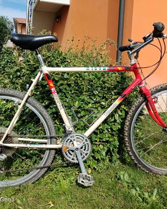 Mountain bike vintage 