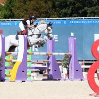 Cavallo sella italiano per primo grado e oltre