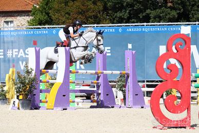 Cavallo sella italiano per primo grado e oltre