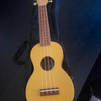 Ukulele mai usato