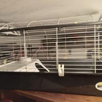 gabbia per roditori e piccoli animali