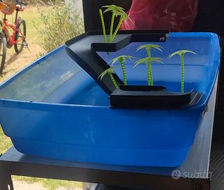 Vaschetta per tartarughe