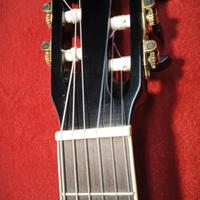 Eko Guitars NXT Nylon N100ce
