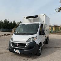 Fiat DUCATO 2.3 MJET 130 CV CASSA FRIGO 2.81 ATP F