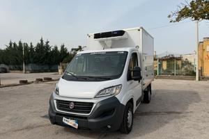 Fiat DUCATO 2.3 MJET 130 CV CASSA FRIGO 2.81 ATP F